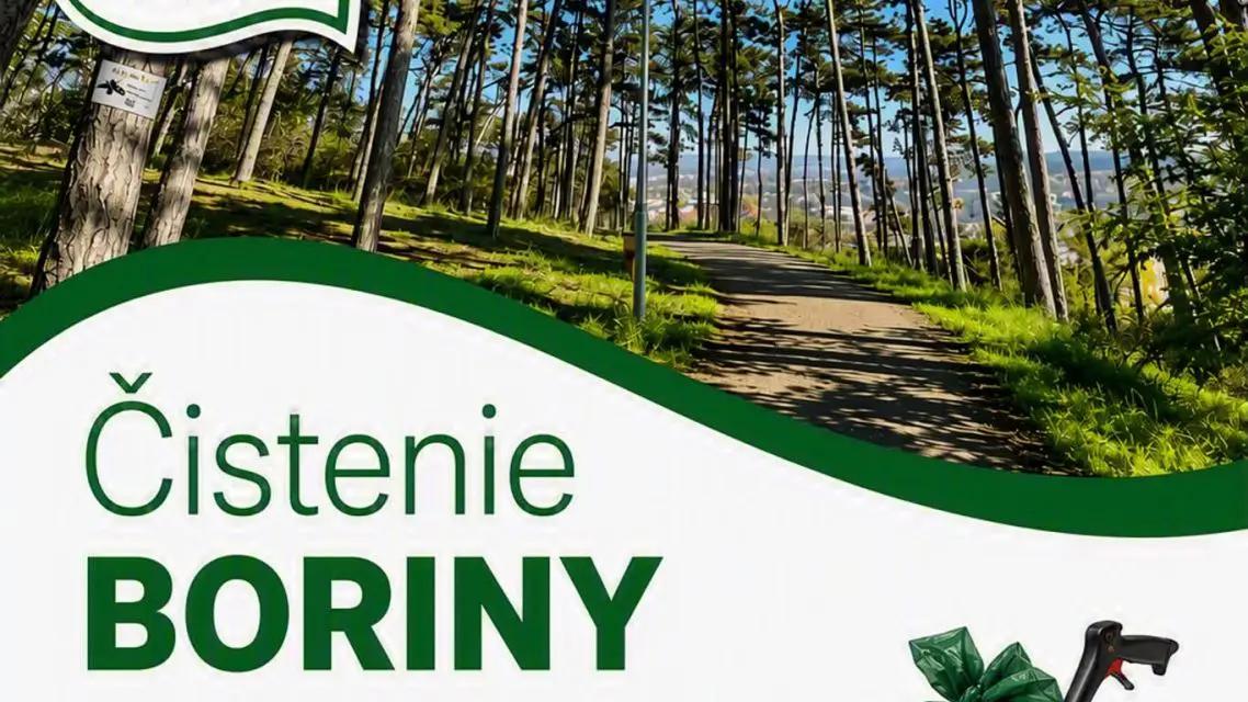 Čistenie Boriny